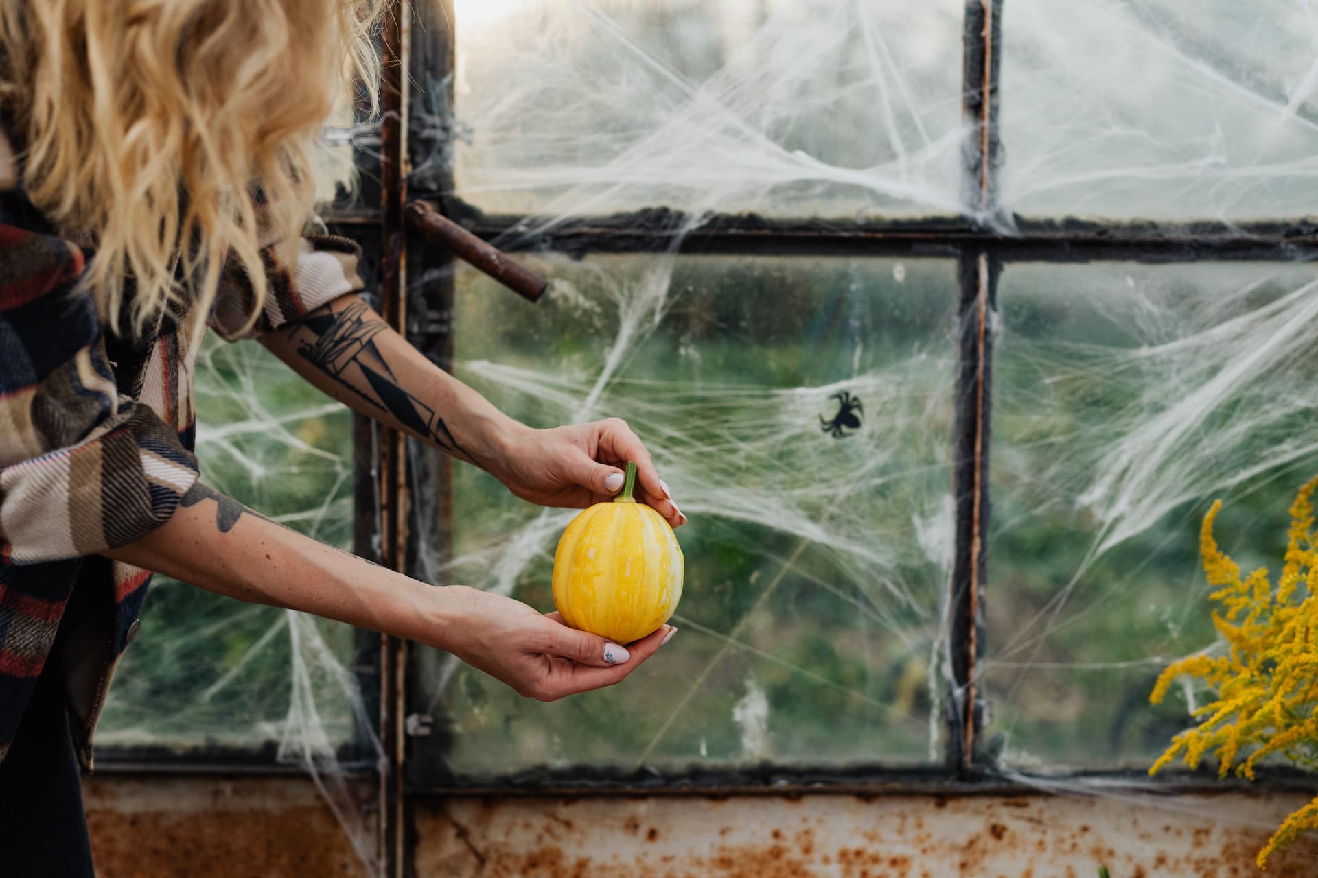 Telaraña falsa en la venta como decoración de Halloween 